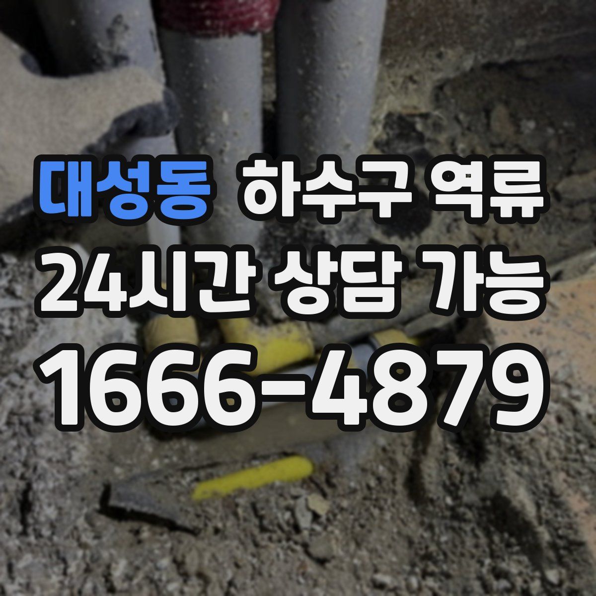 대성동 하수구 역류