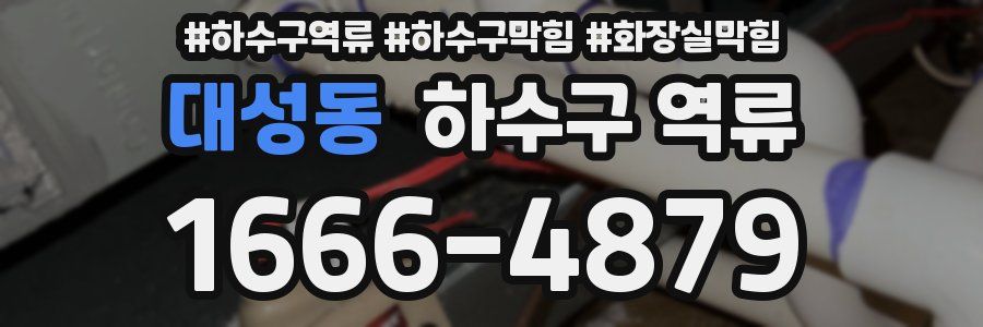 대성동 하수구 역류