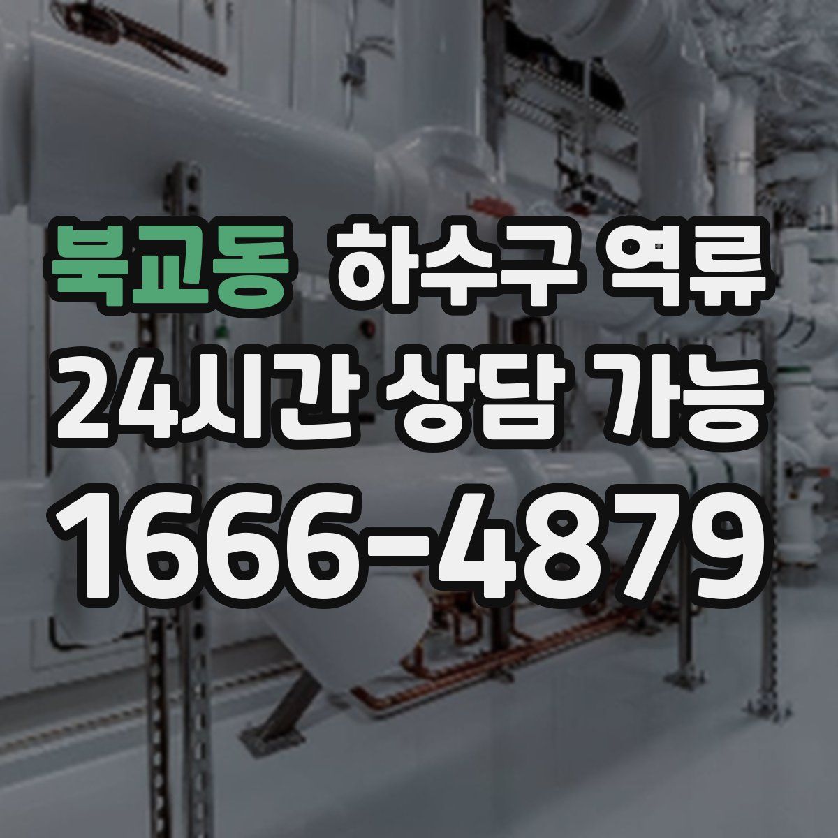 북교동 하수구 역류
