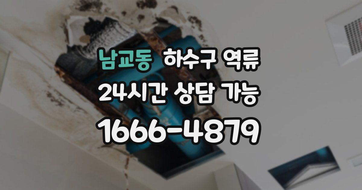 남교동 하수구 역류