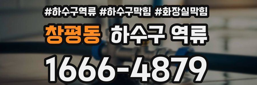 창평동 하수구 역류