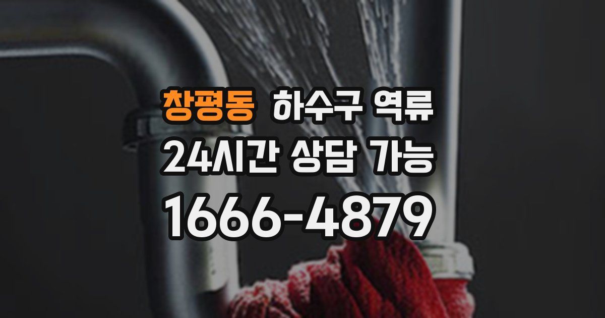 창평동 하수구 역류