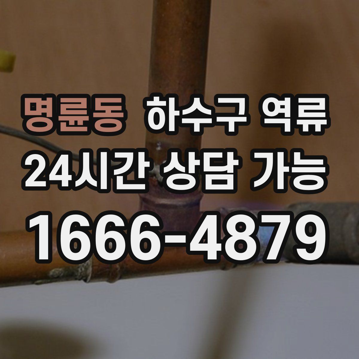 명륜동 하수구 역류