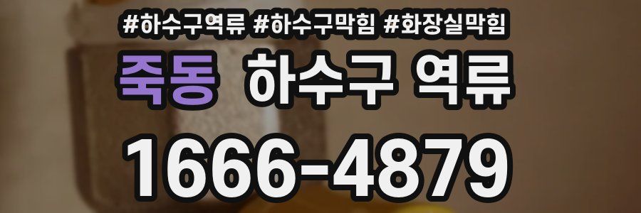 죽동 하수구 역류