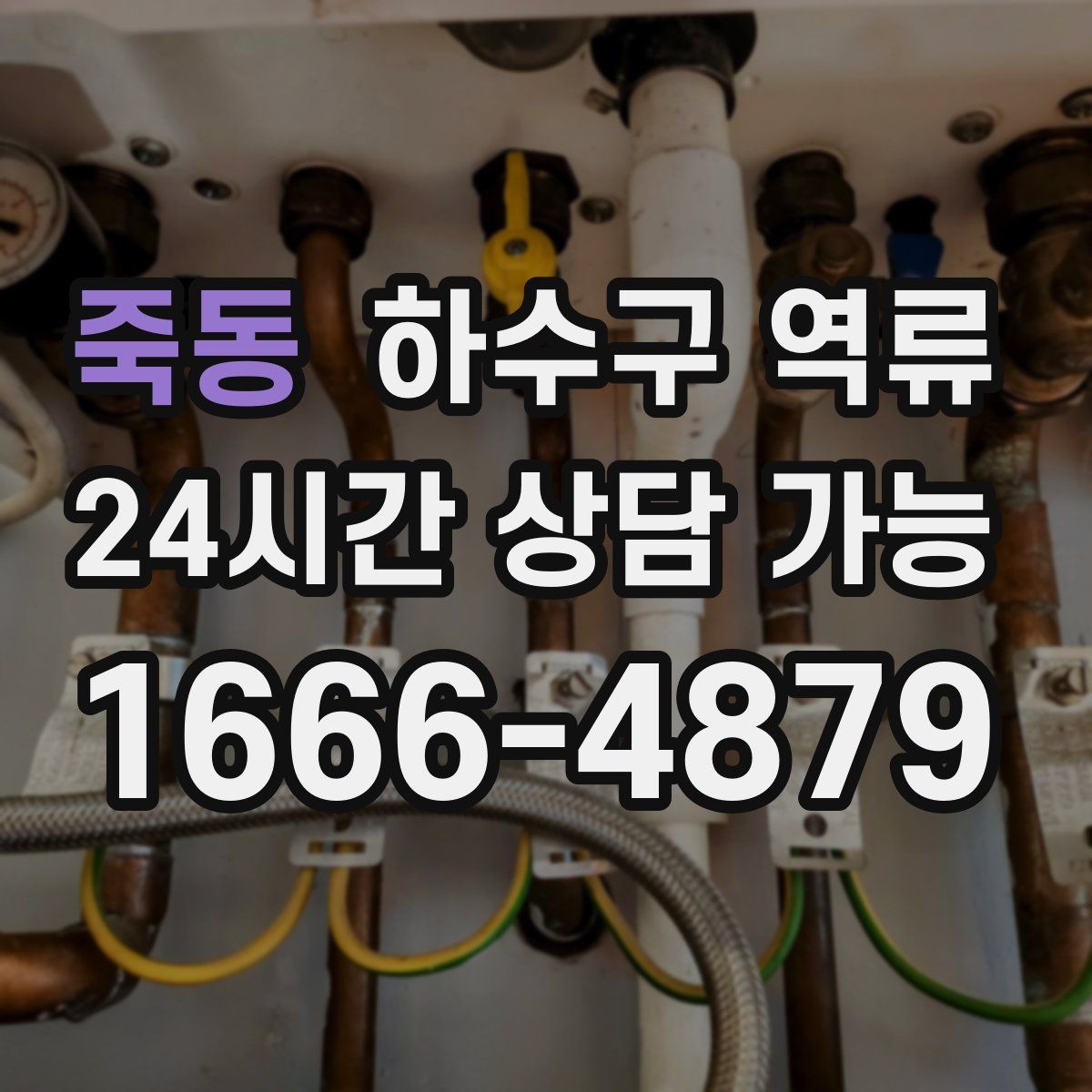 죽동 하수구 역류