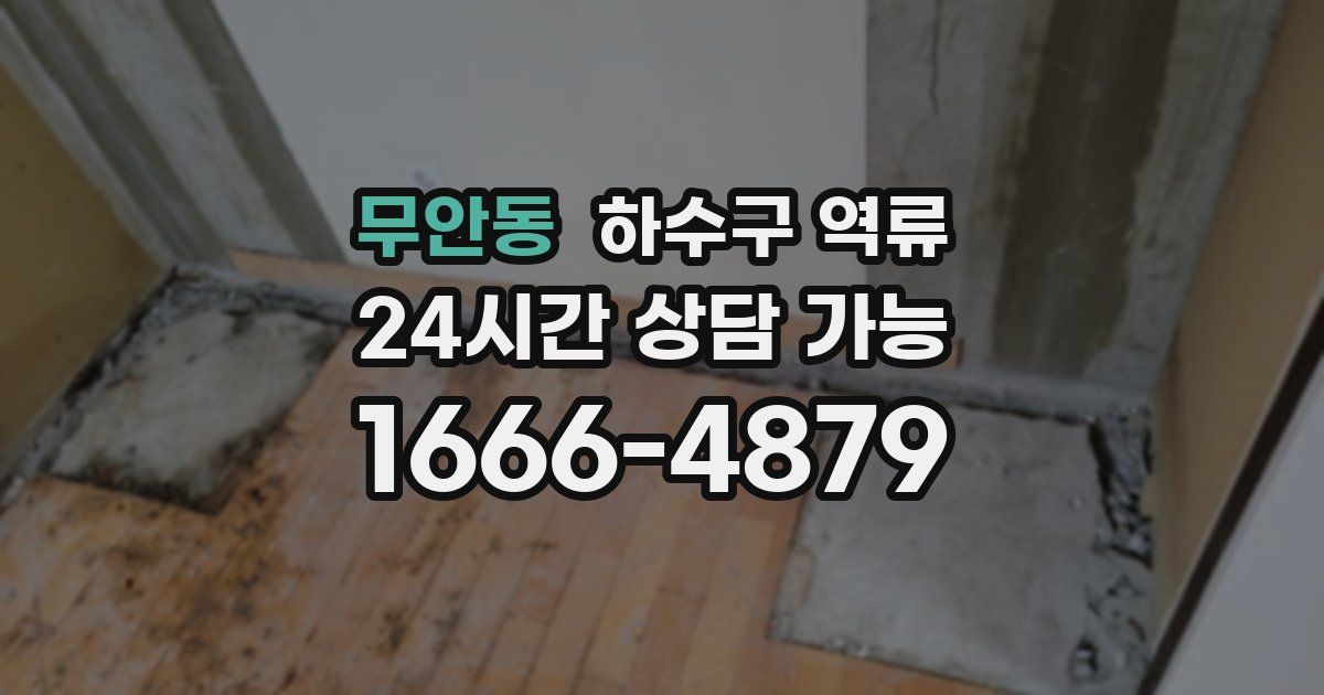 무안동 하수구 역류