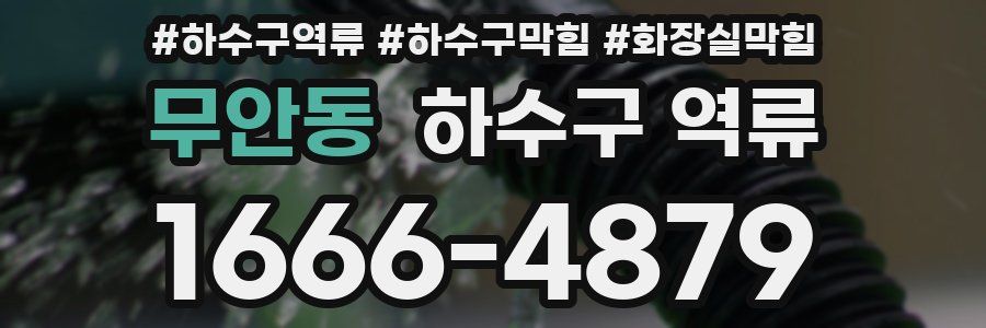 무안동 하수구 역류