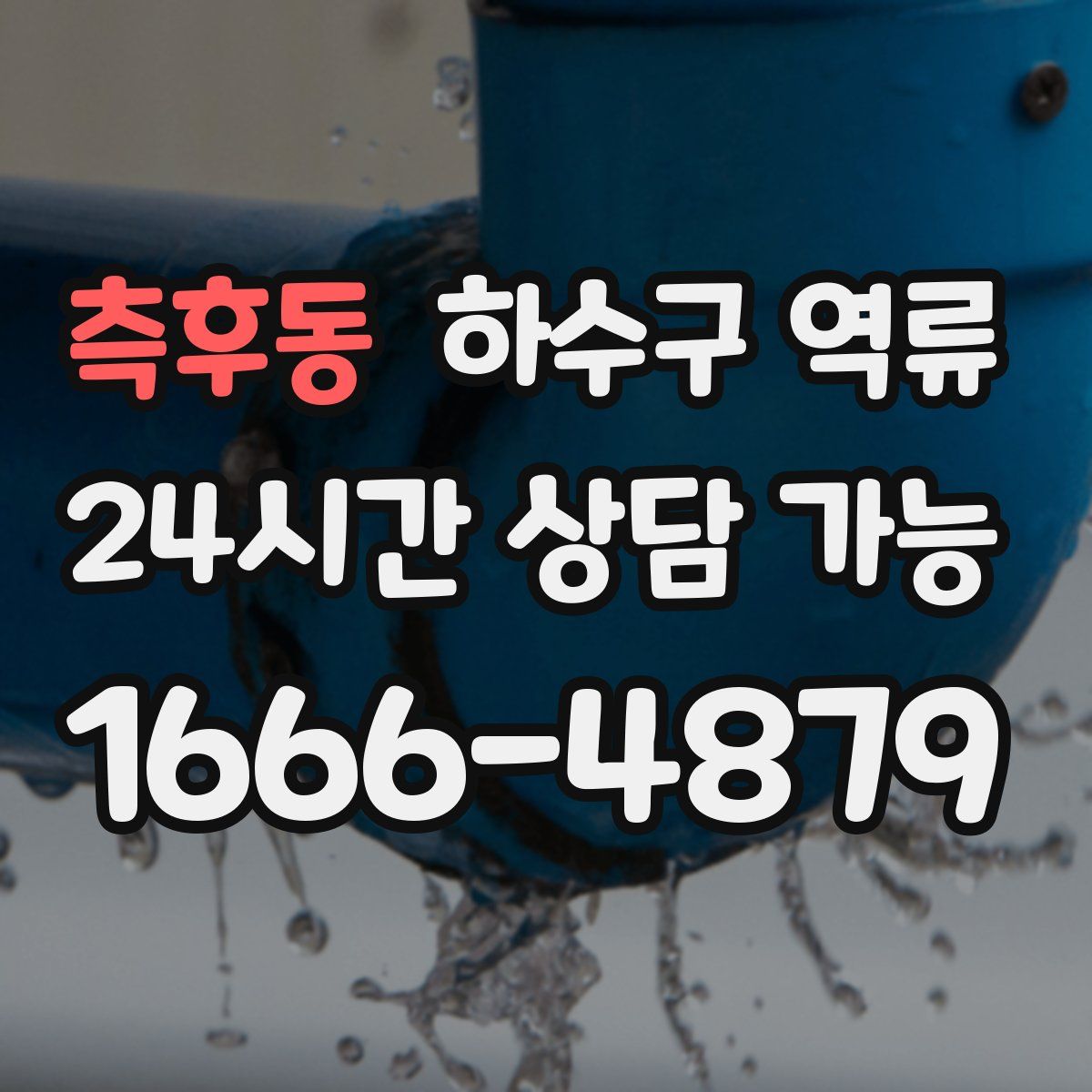 측후동 하수구 역류