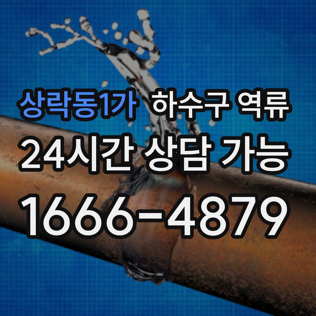 상락동1가 하수구 역류