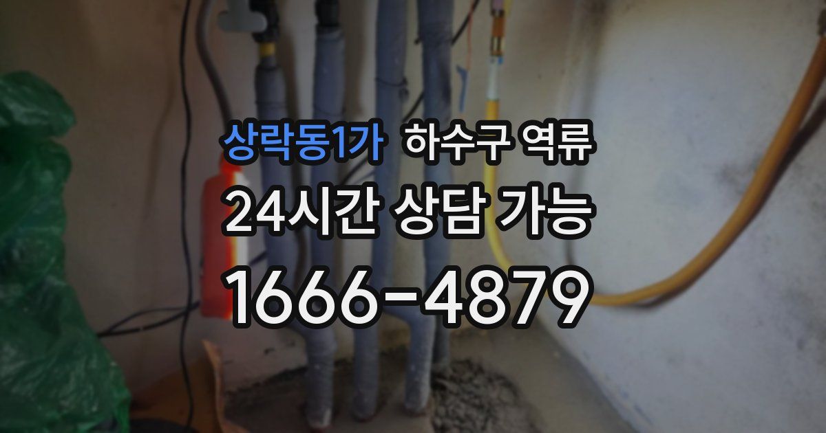 상락동1가 하수구 역류