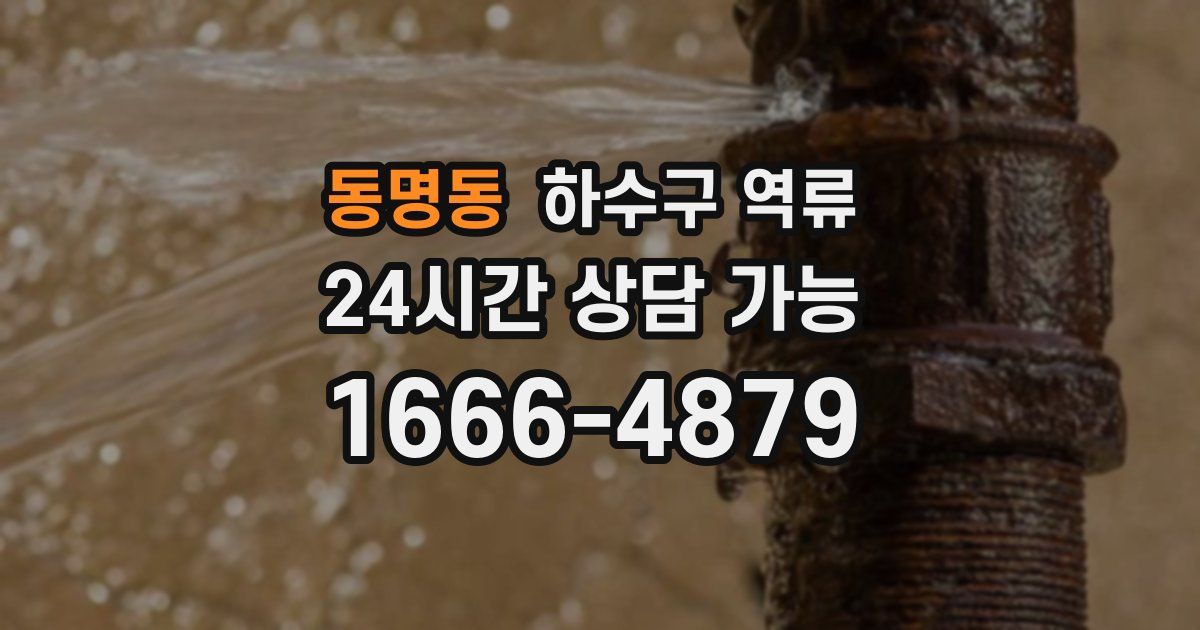 동명동 하수구 역류