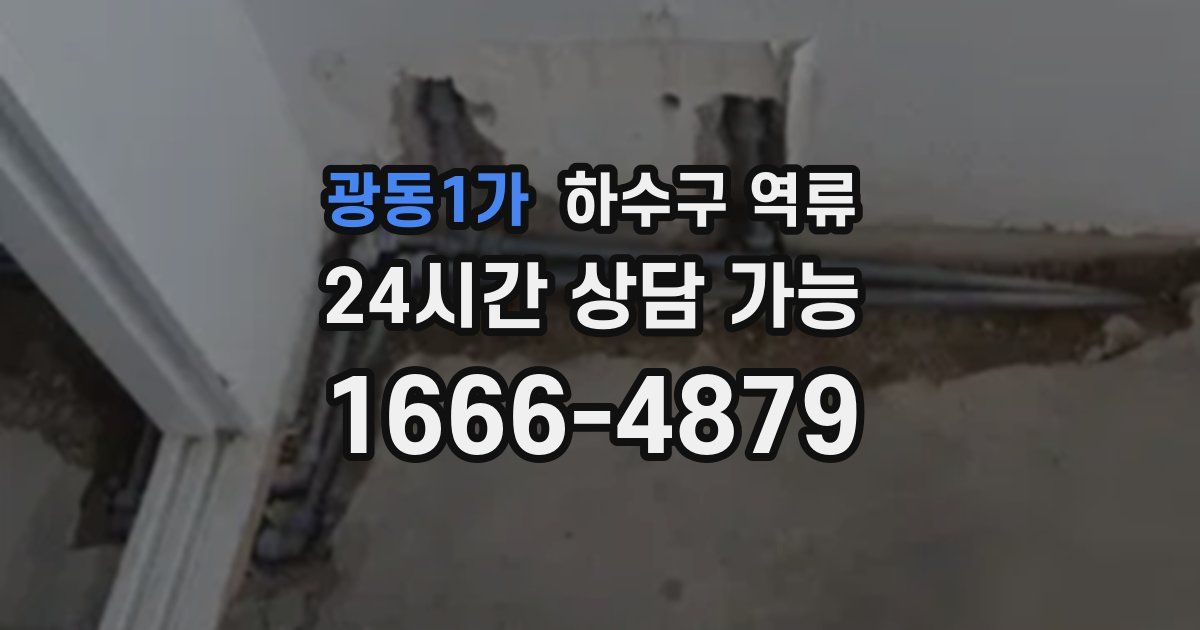 광동1가 하수구 역류