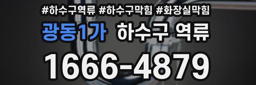 광동1가 하수구 역류