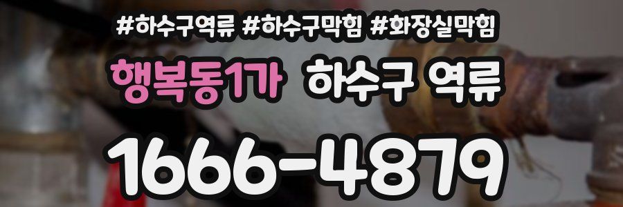 행복동1가 하수구 역류