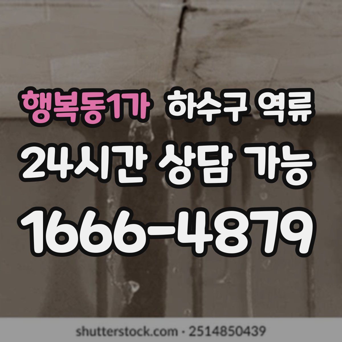 행복동1가 하수구 역류