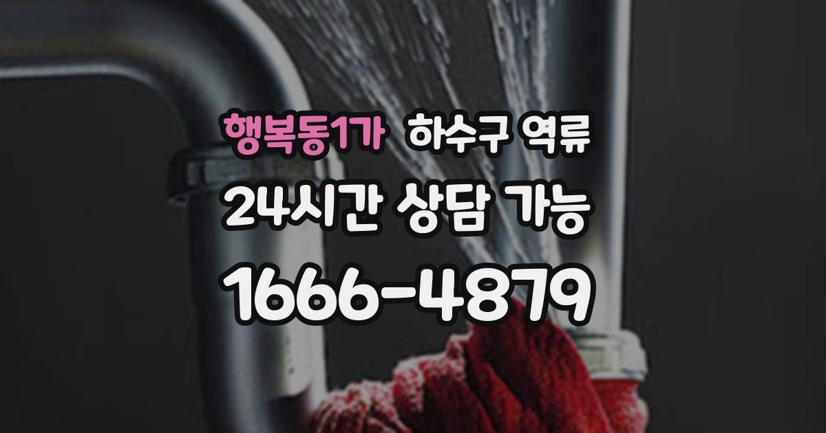 행복동1가 하수구 역류