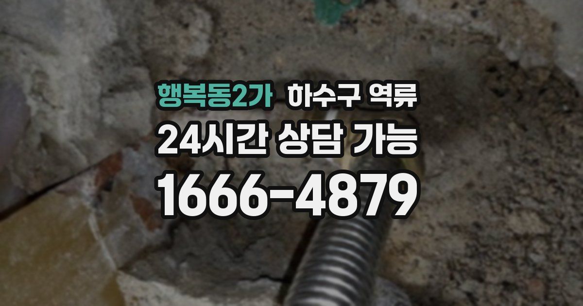 행복동2가 하수구 역류