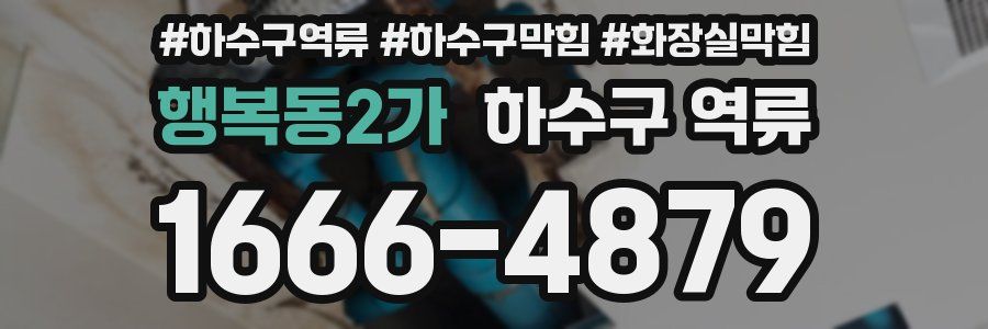 행복동2가 하수구 역류