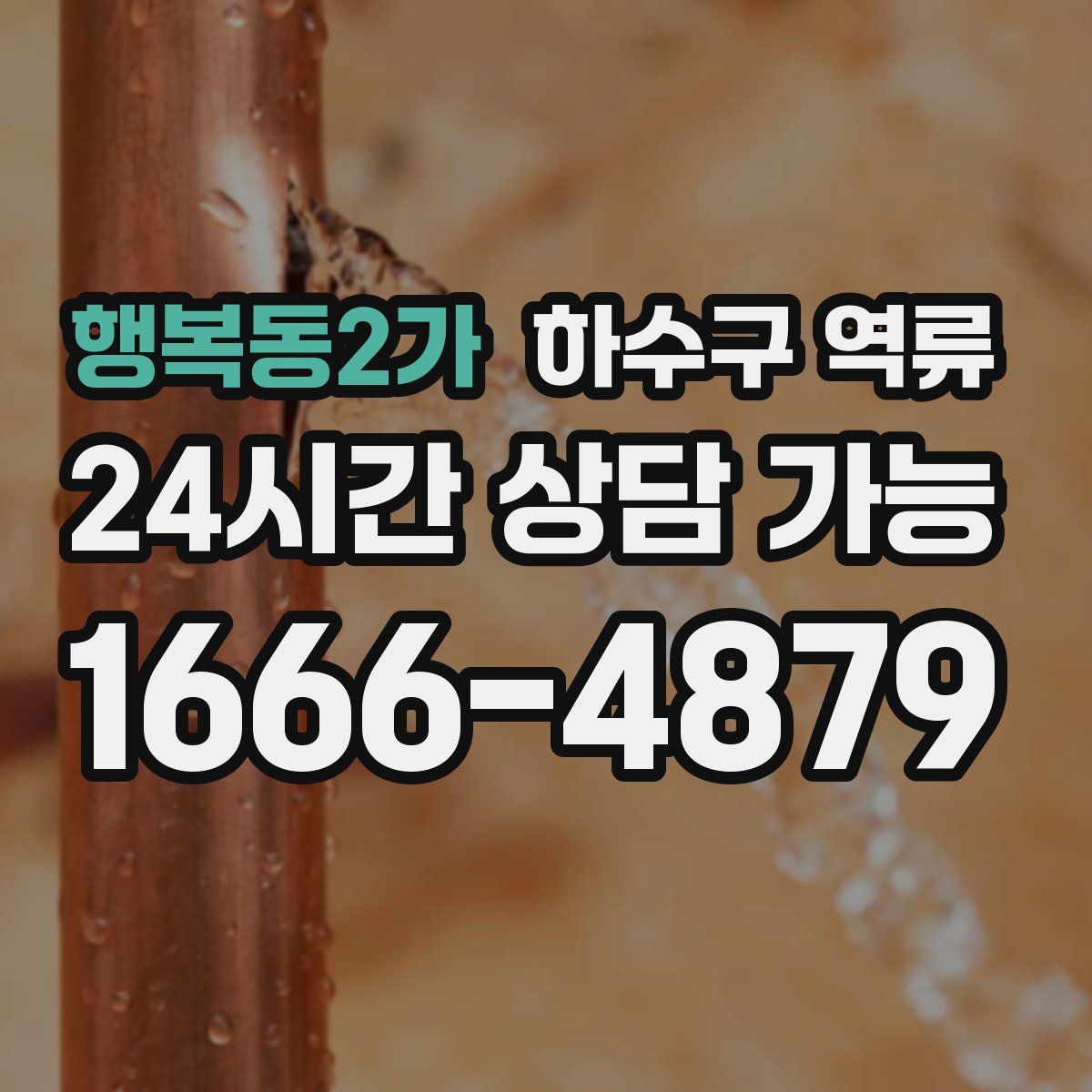 행복동2가 하수구 역류