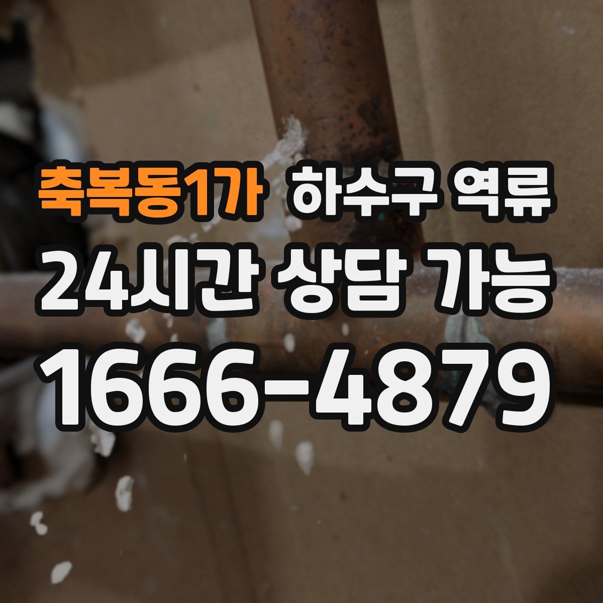 축복동1가 하수구 역류