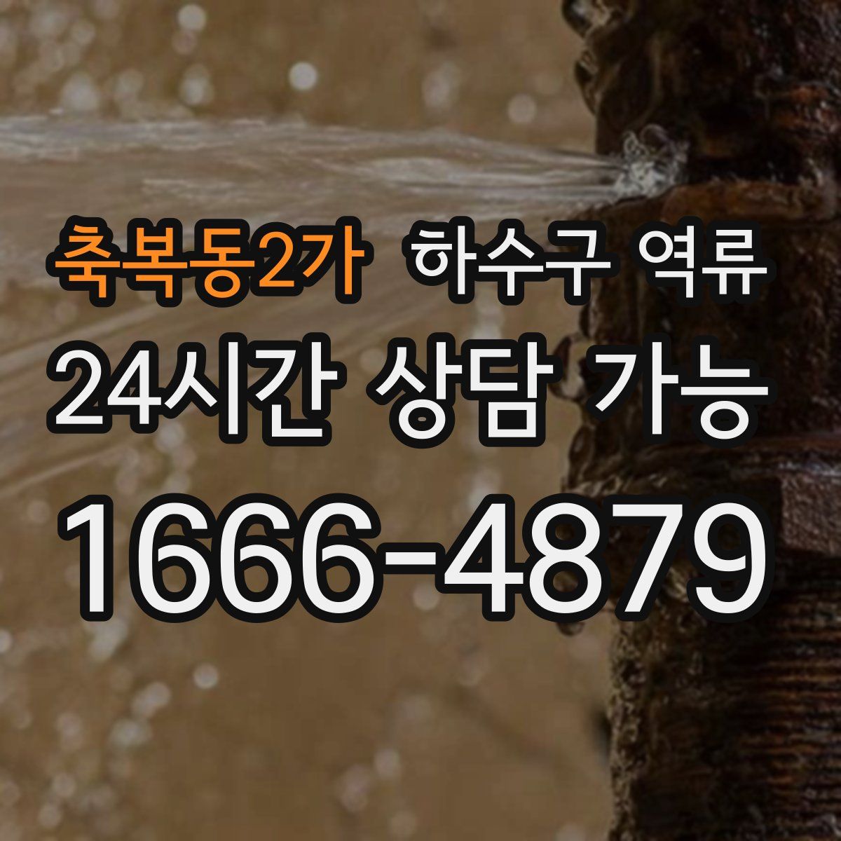 축복동2가 하수구 역류