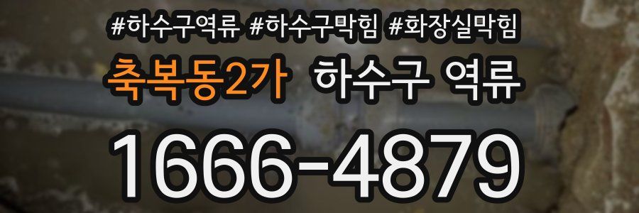 축복동2가 하수구 역류