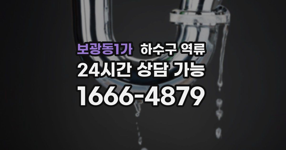 보광동1가 하수구 역류