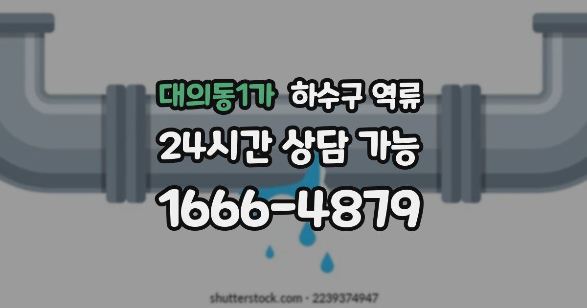 대의동1가 하수구 역류
