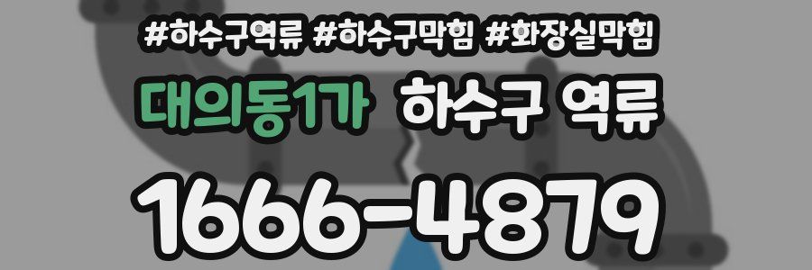 대의동1가 하수구 역류