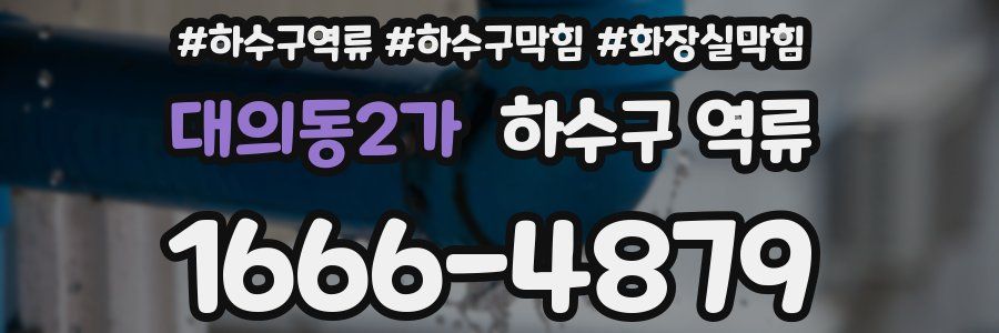 대의동2가 하수구 역류