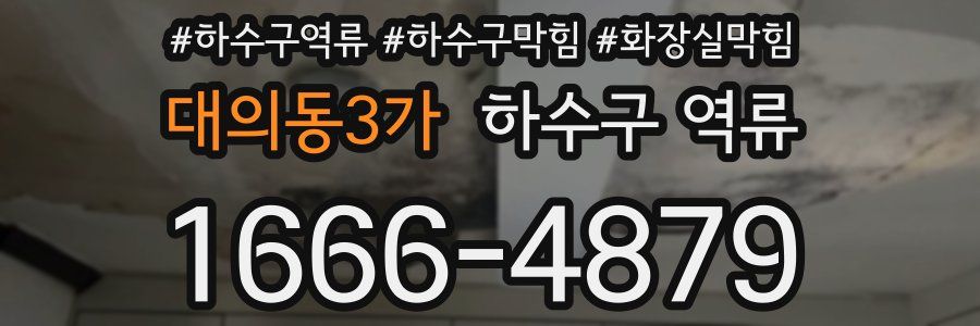 대의동3가 하수구 역류