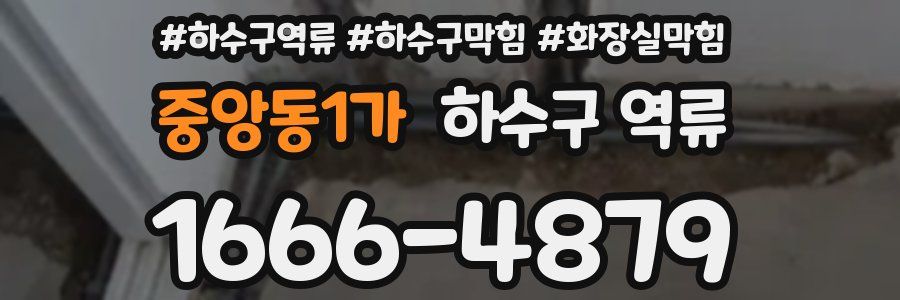 중앙동1가 하수구 역류