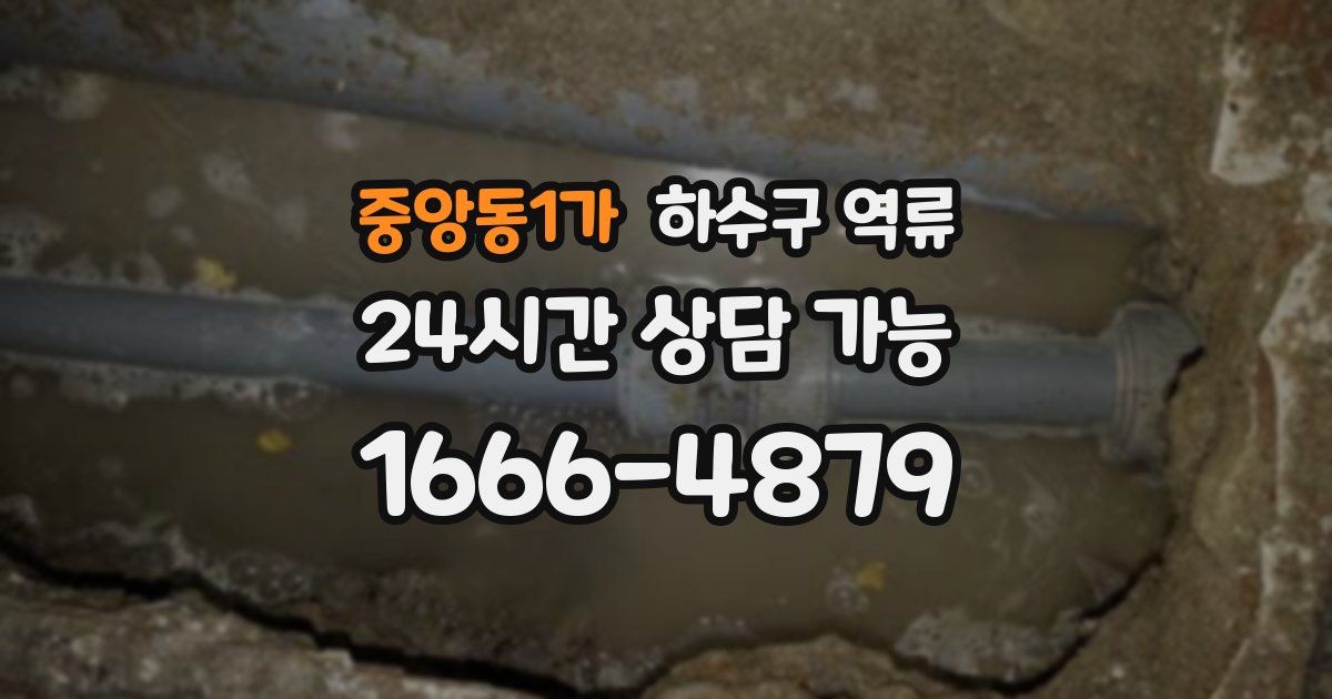 중앙동1가 하수구 역류