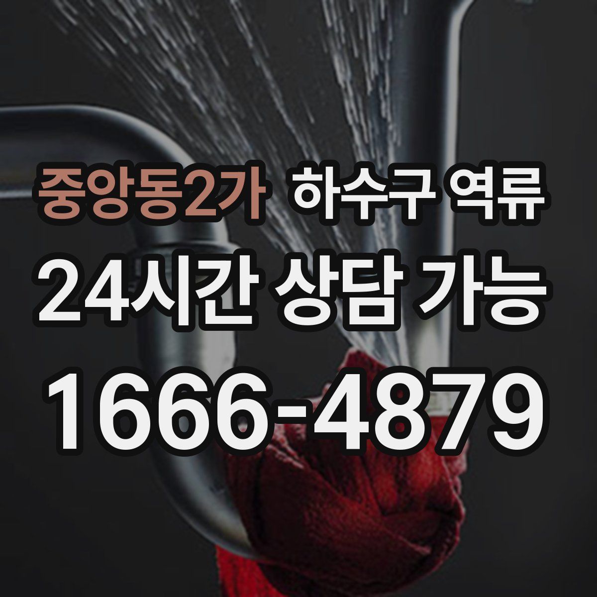 중앙동2가 하수구 역류