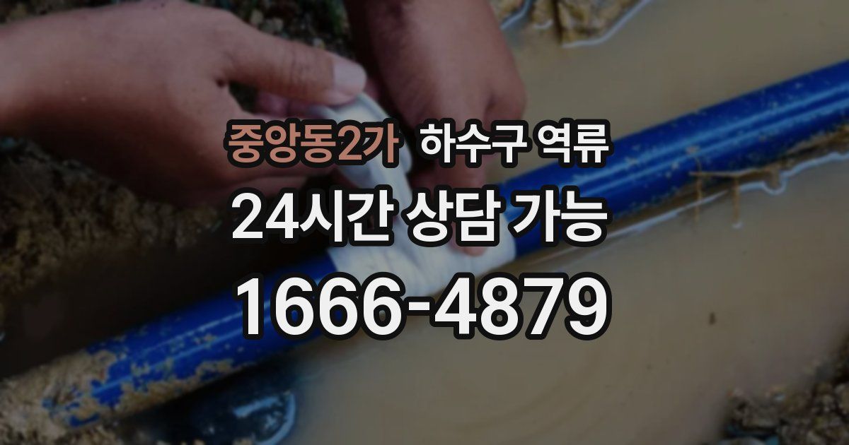 중앙동2가 하수구 역류