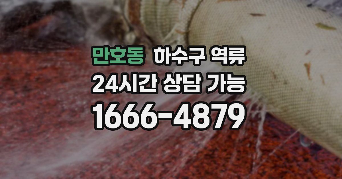 만호동 하수구 역류