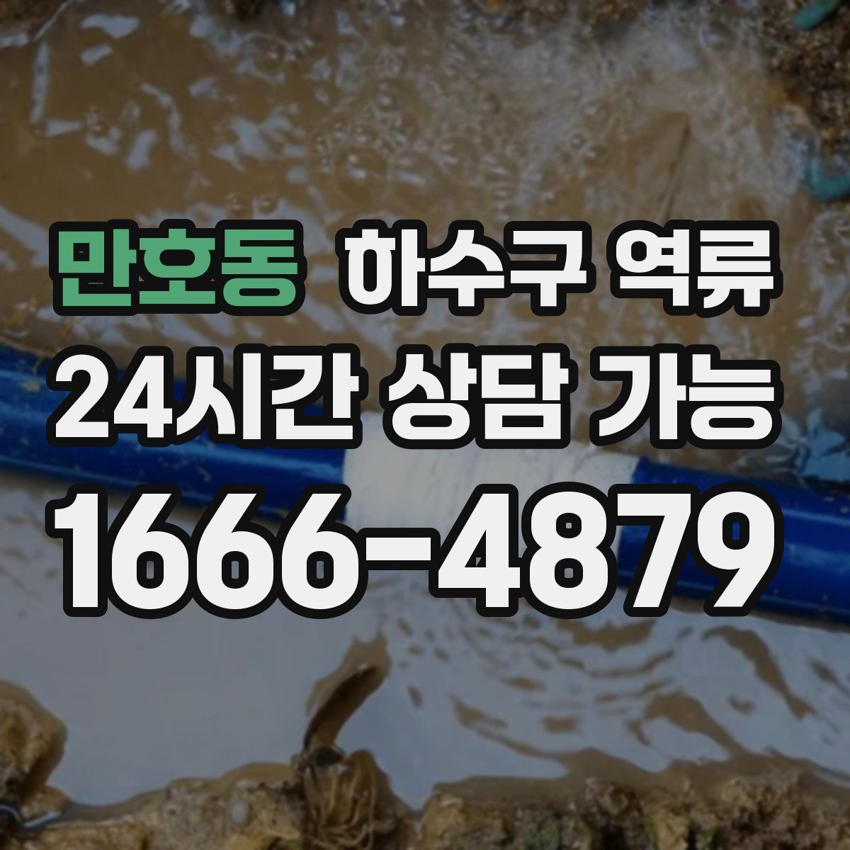 만호동 하수구 역류