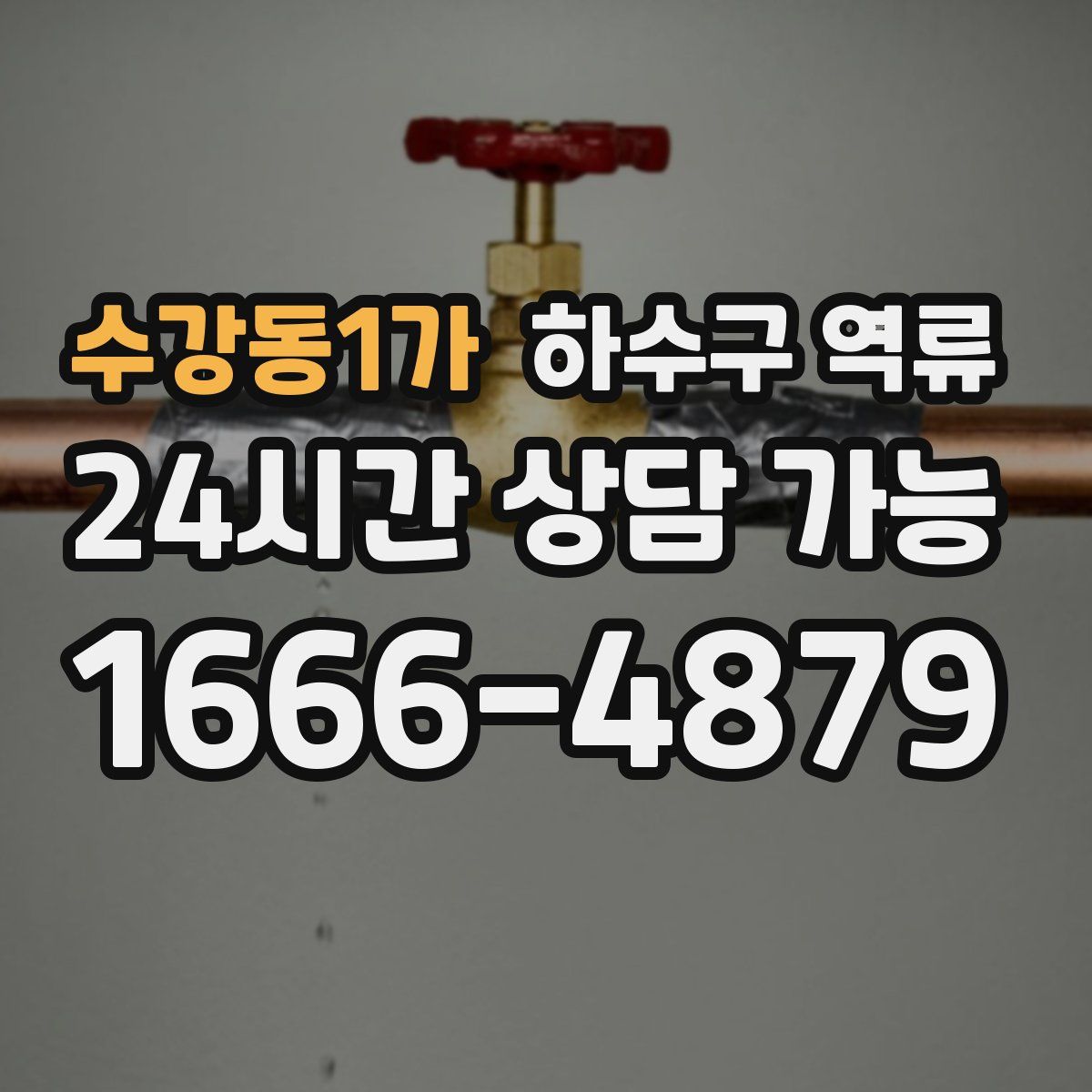수강동1가 하수구 역류