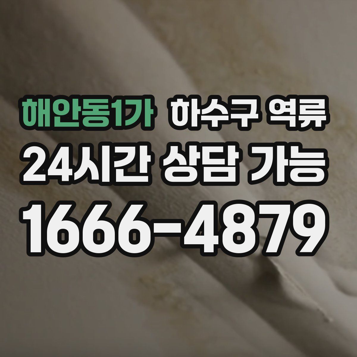 해안동1가 하수구 역류