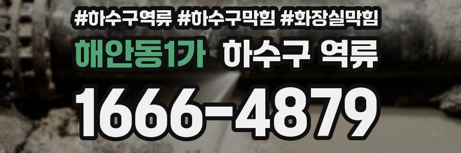 해안동1가 하수구 역류