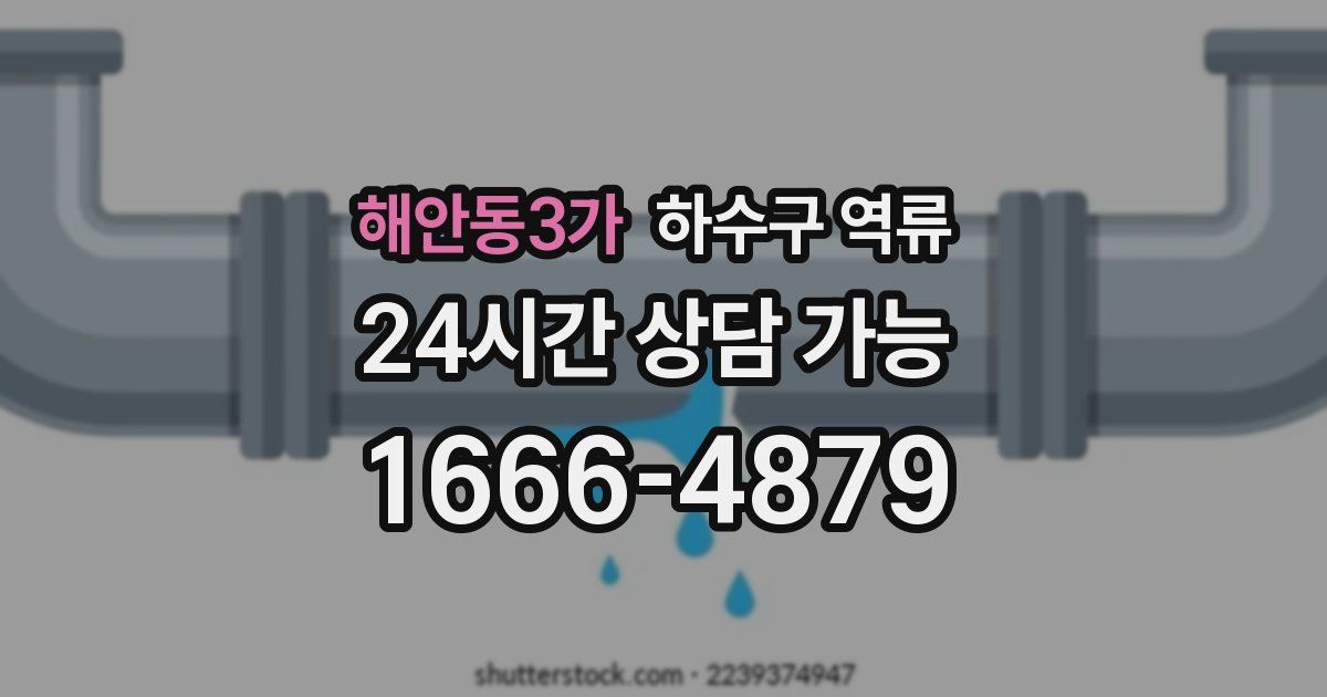 해안동3가 하수구 역류