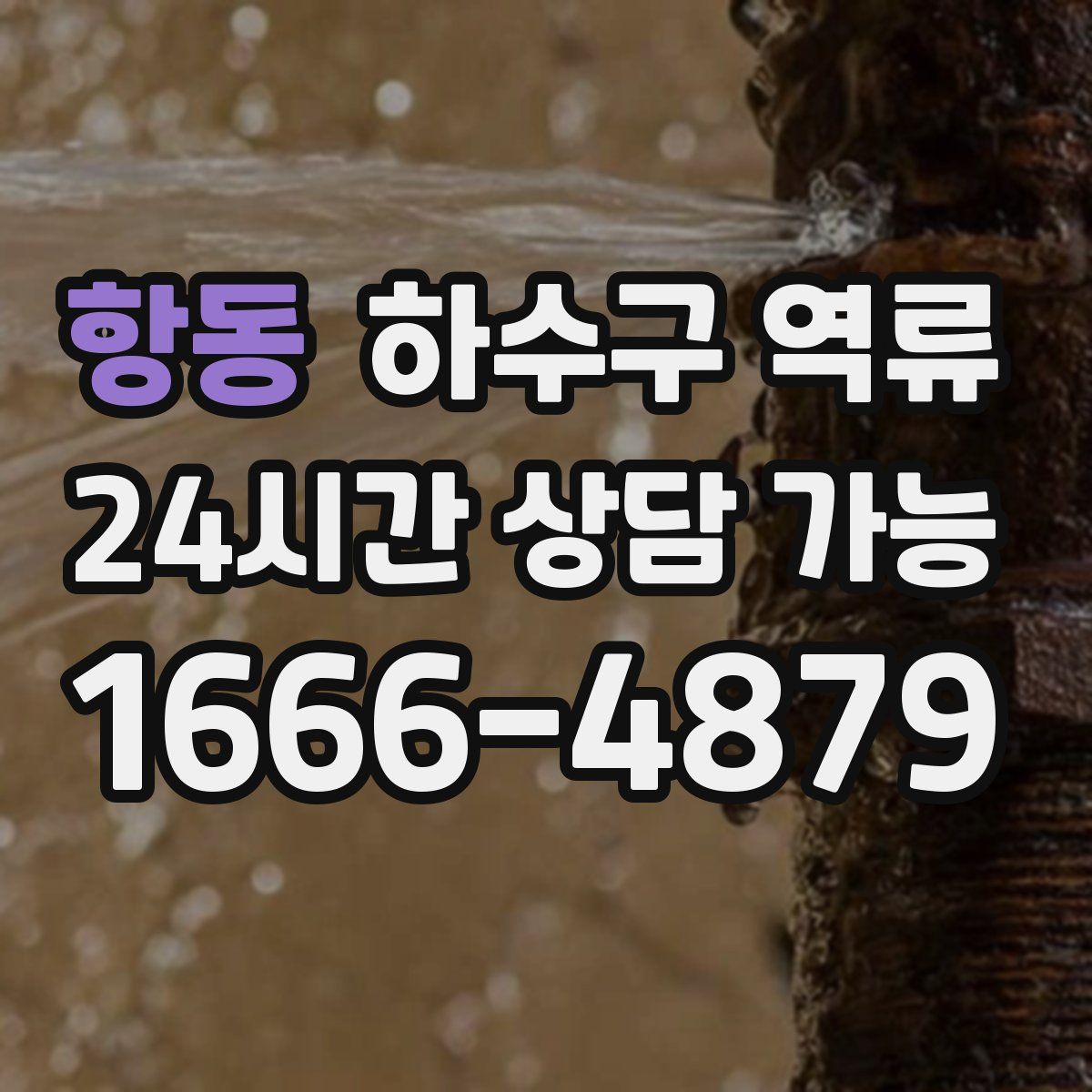 항동 하수구 역류