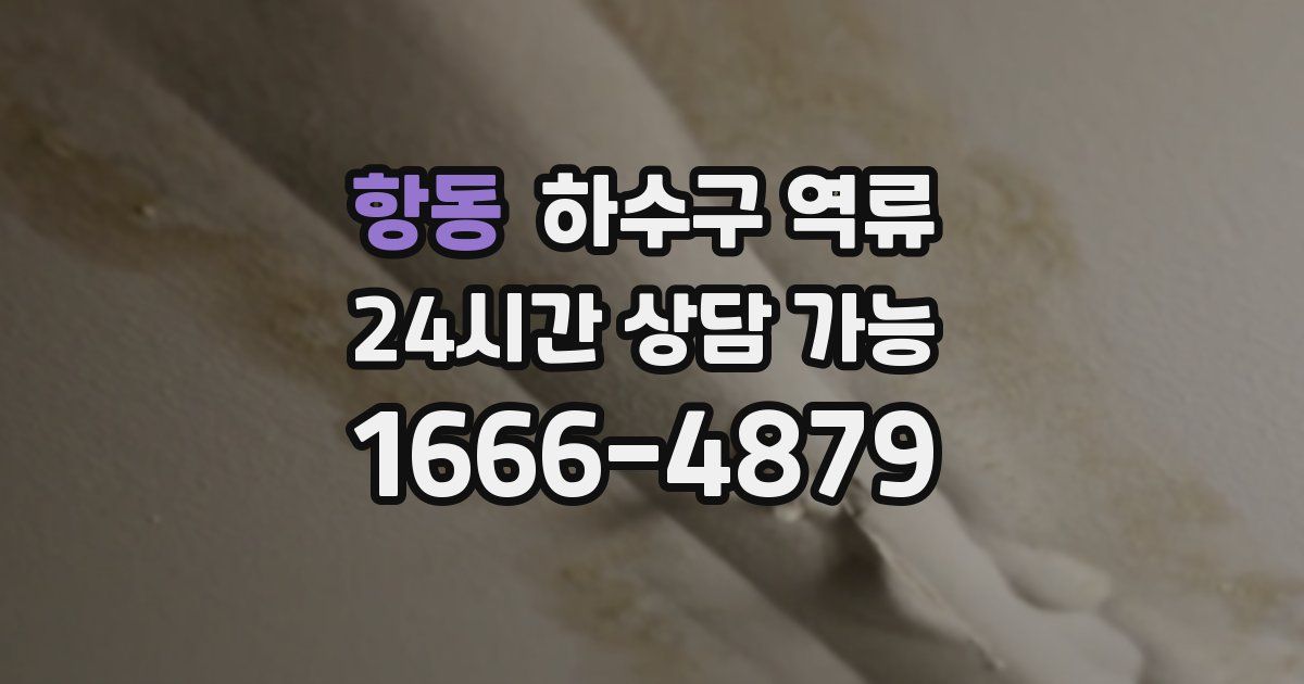 항동 하수구 역류