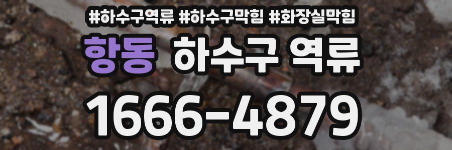 항동 하수구 역류