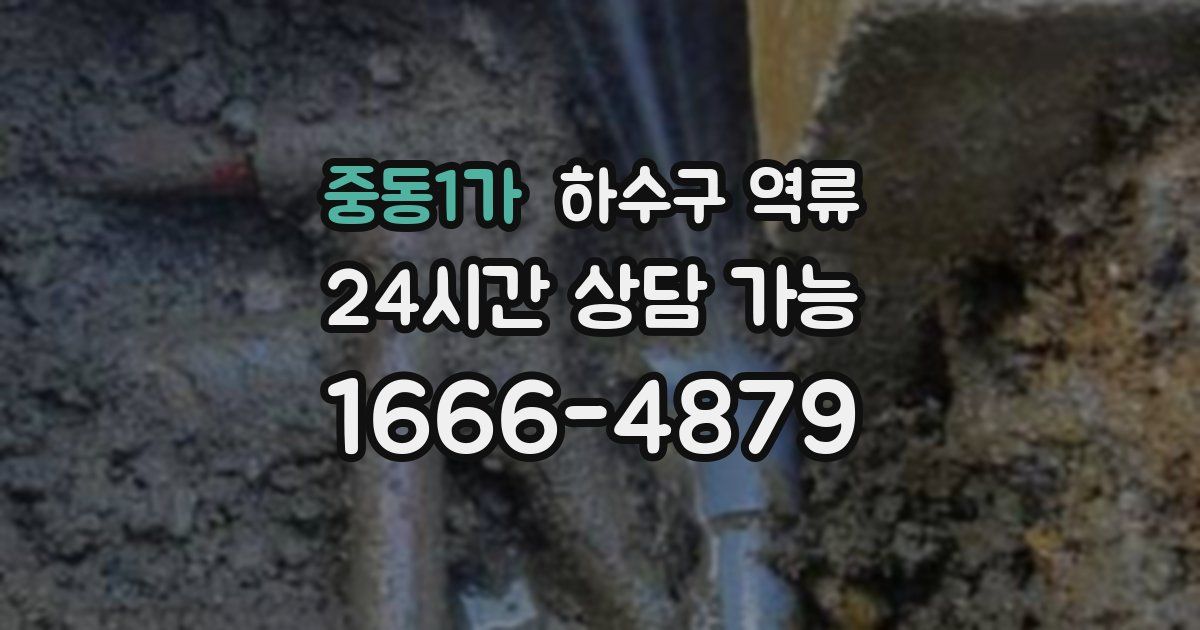중동1가 하수구 역류