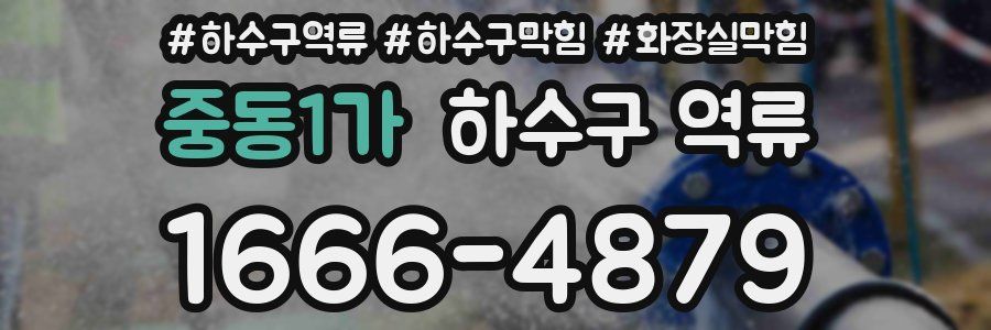 중동1가 하수구 역류