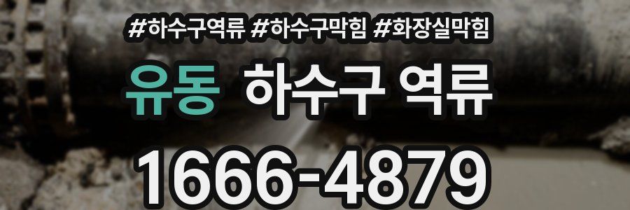 유동 하수구 역류