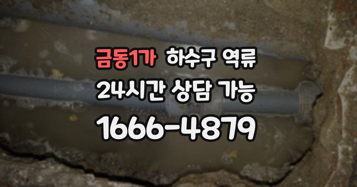 금동1가 하수구 역류