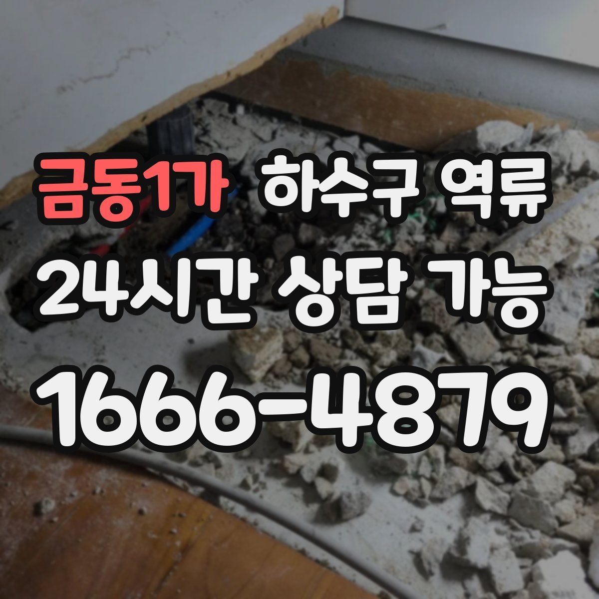 금동1가 하수구 역류