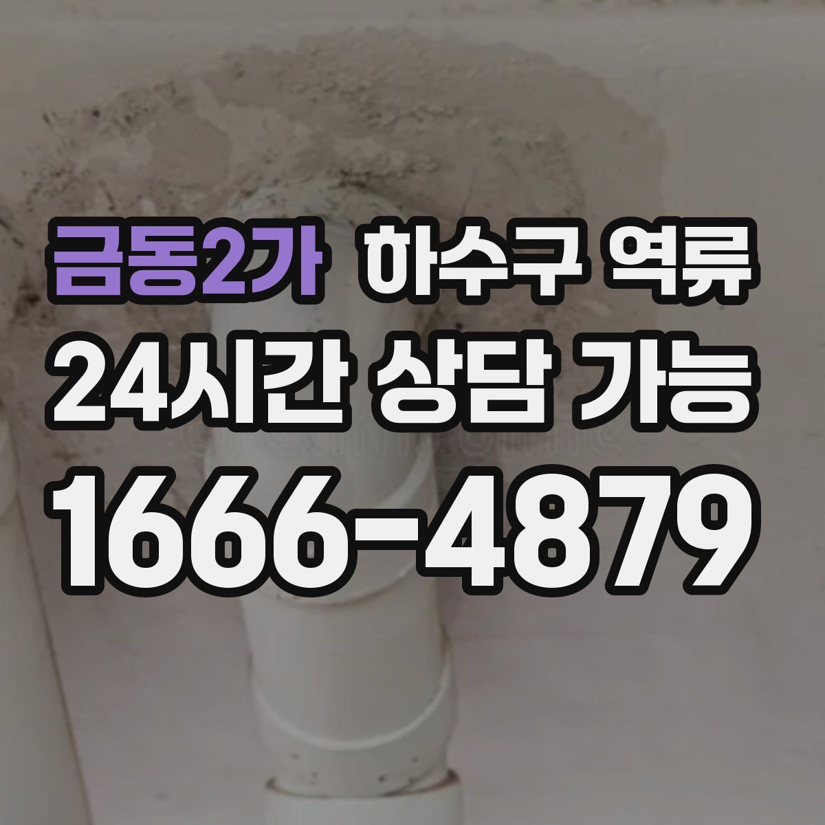 금동2가 하수구 역류